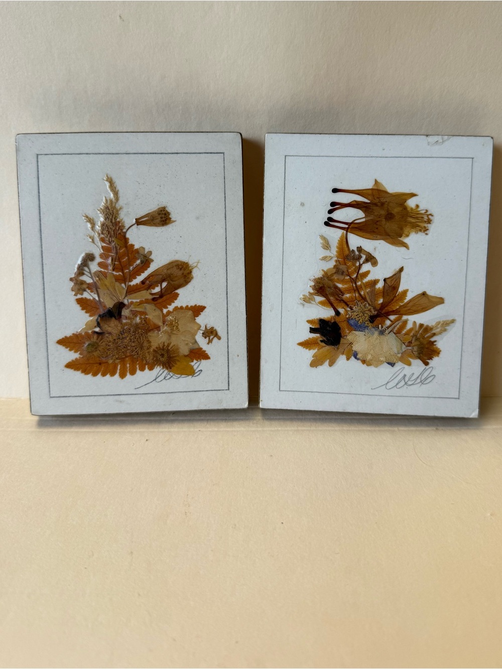 2 Vintage Country Girl Creations Presssed Dried Floral Botanical Decor Wall Art